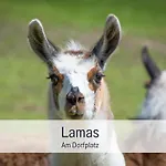 Familienfreundliches Zwischen Potsdam Und Berlin Fuer 2-4 Personen - Parkplatz - Balkon - Voll Ausgestattete Kueche - Wlan - Nebelwiesen アパート *