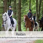 アパート Familienfreundliches Zwischen Potsdam Und Berlin Fuer 2-4 Personen - Parkplatz - Balkon - Voll Ausgestattete Kueche - Wlan - Nebelwiesen *