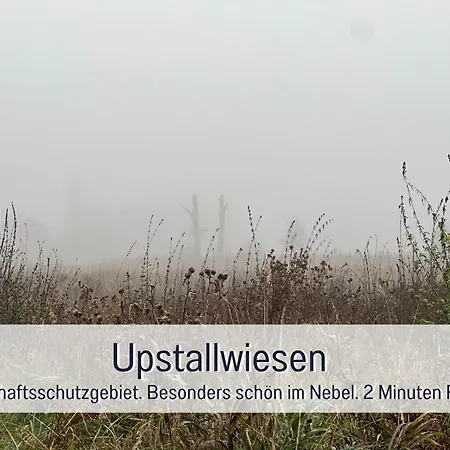 Familienfreundliches Zwischen Potsdam Und Berlin Fuer 2-4 Personen - Parkplatz - Balkon - Voll Ausgestattete Kueche - Wlan - Nebelwiesen Appartement