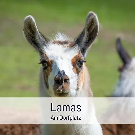 Familienfreundliches Zwischen Potsdam Und Berlin Fuer 2-4 Personen - Parkplatz - Balkon - Voll Ausgestattete Kueche - Wlan - Nebelwiesen Appartement *