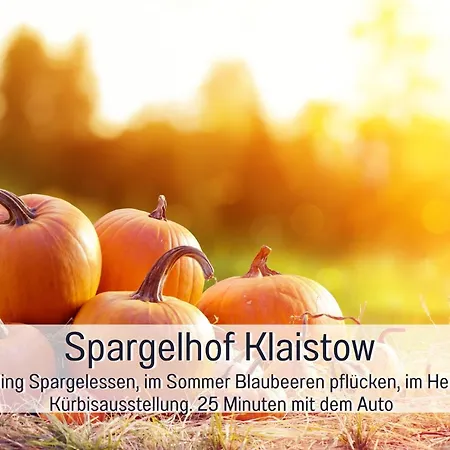 Zwischen Potsdam Und Berlin - Kostenfreier Parkplatz - E-ladestation - Balkon - Voll Ausgestattete Kueche - Waschmaschine - Wlan - Nebelwiesen Apartment *