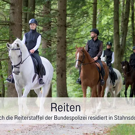 Appartement Familienfreundliches Zwischen Potsdam Und Berlin Fuer 2-4 Personen - Parkplatz - Balkon - Voll Ausgestattete Kueche - Wlan - Nebelwiesen *