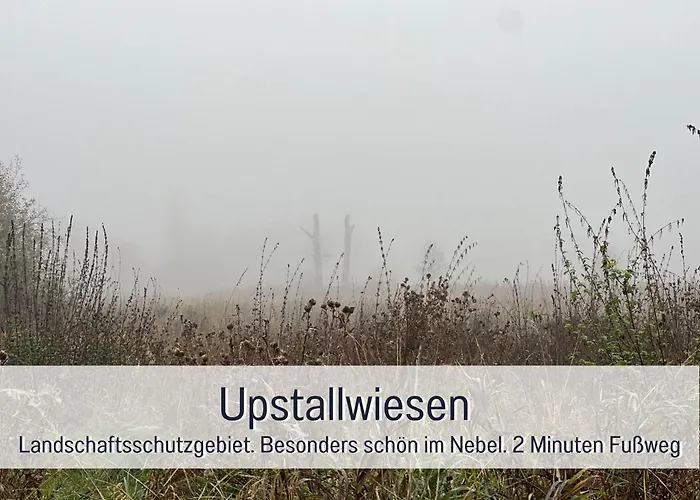 Familienfreundliches Zwischen Potsdam Und Berlin Fuer 2-4 Personen - Parkplatz - Balkon - Voll Ausgestattete Kueche - Wlan - Nebelwiesen Apartment