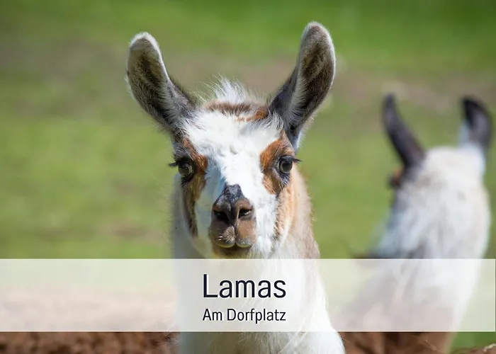 Familienfreundliches Zwischen Potsdam Und Berlin Fuer 2-4 Personen - Parkplatz - Balkon - Voll Ausgestattete Kueche - Wlan - Nebelwiesen Apartment *