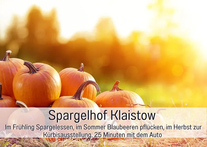 Familienfreundliches Zwischen Potsdam Und Berlin Fuer 2-4 Personen - Parkplatz - Balkon - Voll Ausgestattete Kueche - Wlan - Nebelwiesen 아파트 *